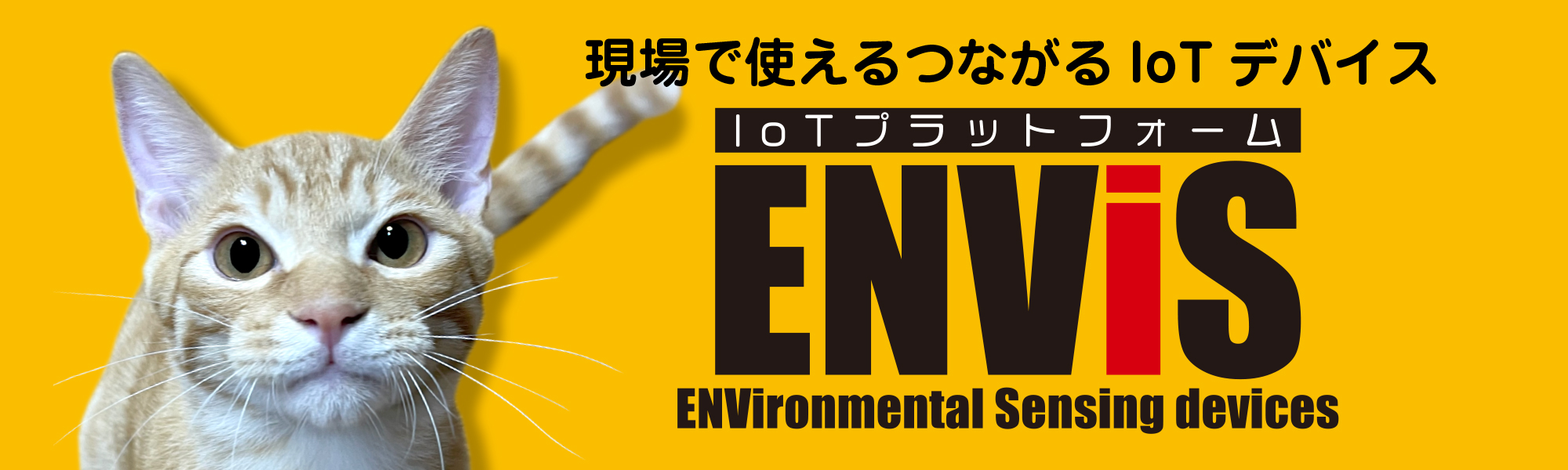 IoTプラットフォーム ENViS